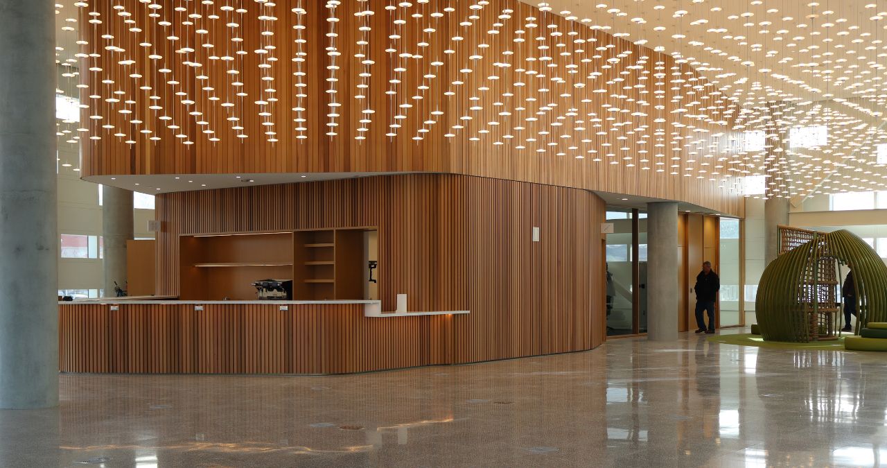 Why Businesses Entrust Their Commercial Carpentry Projects to Contour Construction